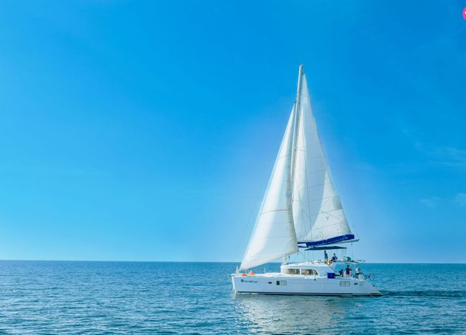 lagoon lagoon440