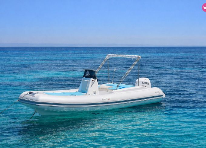 alemar 40hp