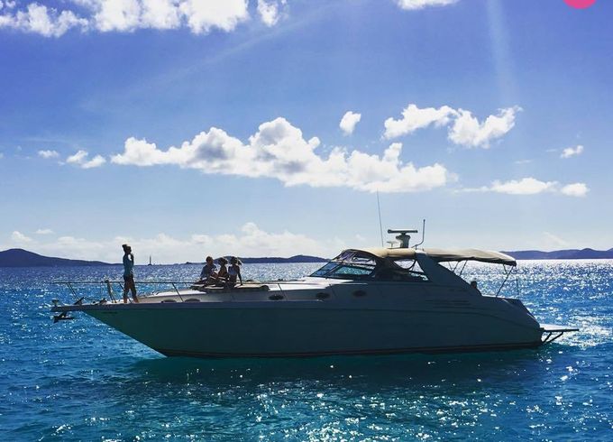 sea ray express cruiser