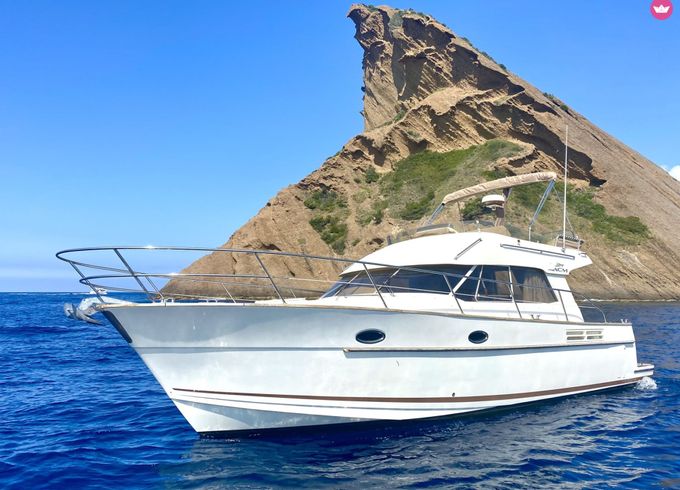 acm arcoa excellence 38