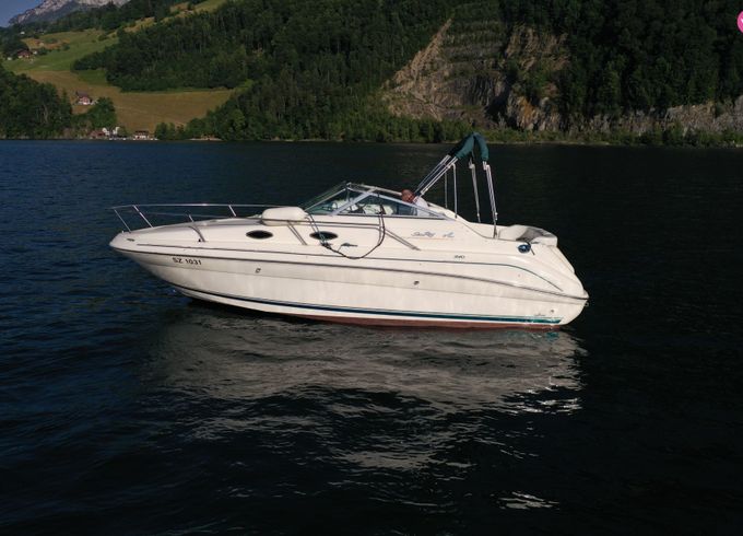sea ray 240da