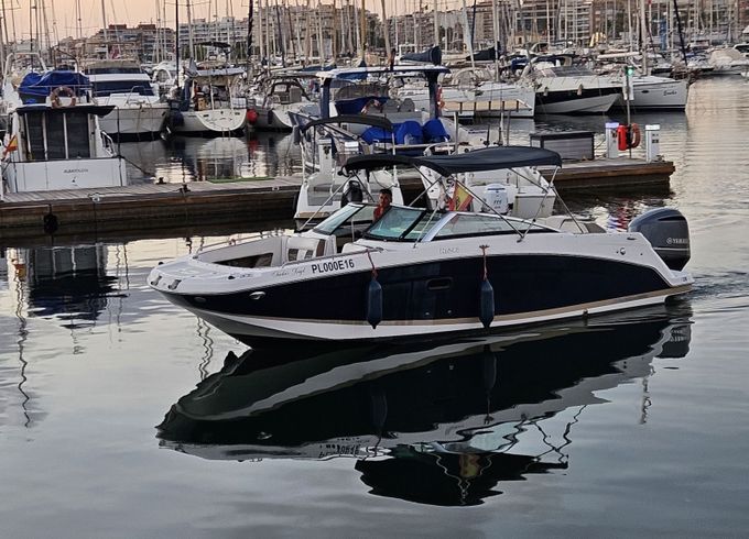 sea ray frowins