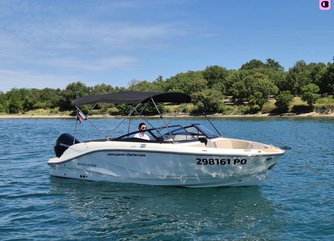 bayliner v20