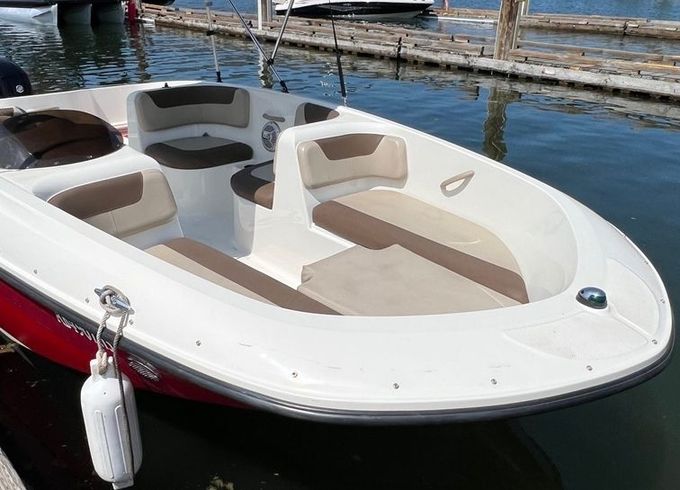 bayliner element m17