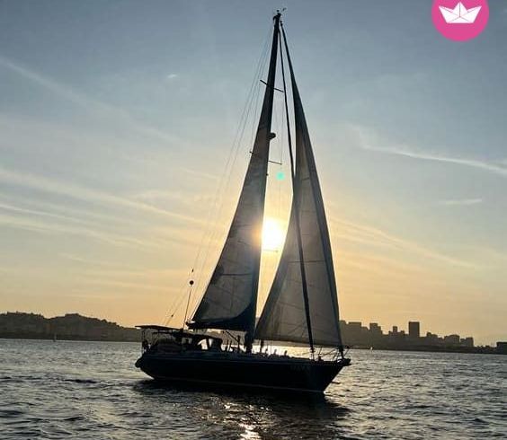 wauquiez centurion 49