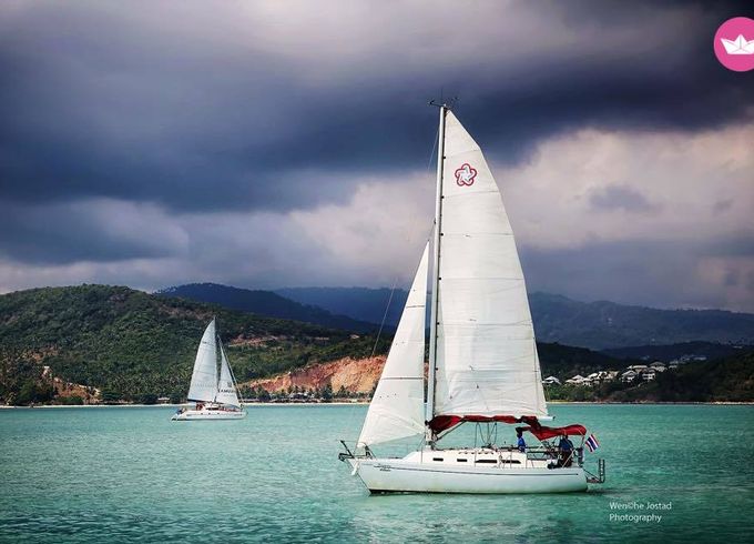 freedom 30