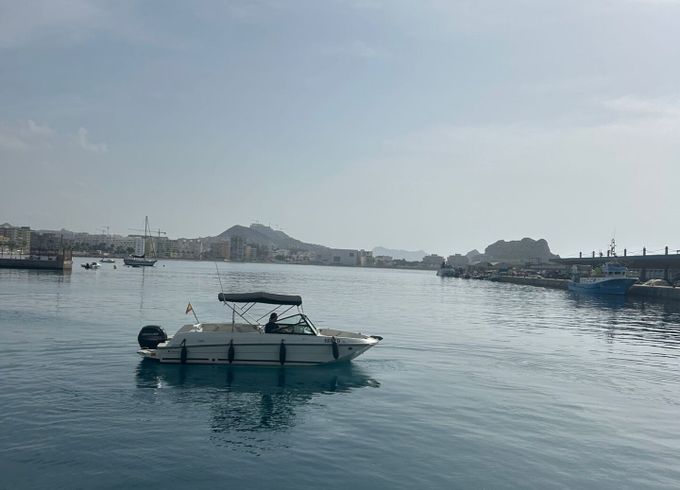 bayliner marine