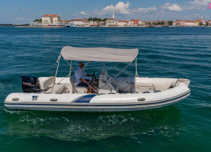 tiger marine proline 620