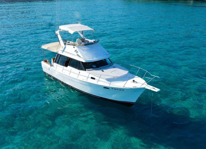bayliner 3288 fly
