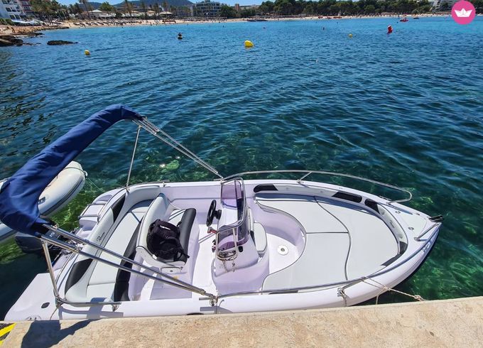 ranieri voyager 17