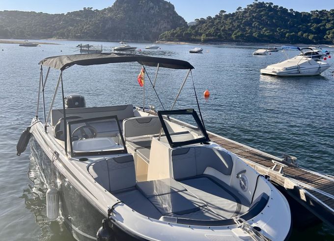 bayliner element m19