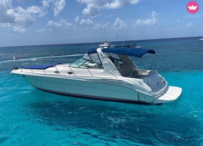 sea ray 41