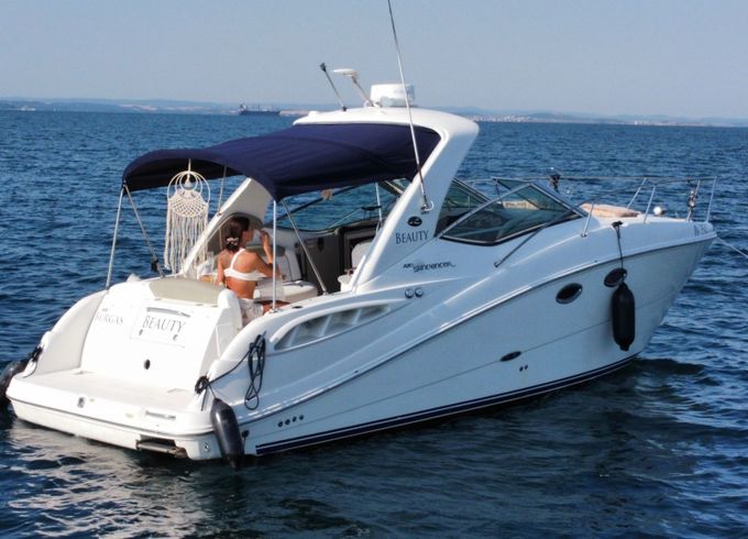 sea ray 290 sundancer