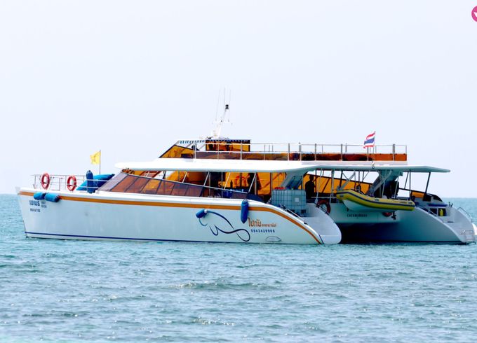 pikancatamarans 72