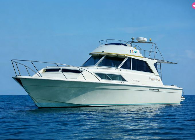 chris craft 11 fly