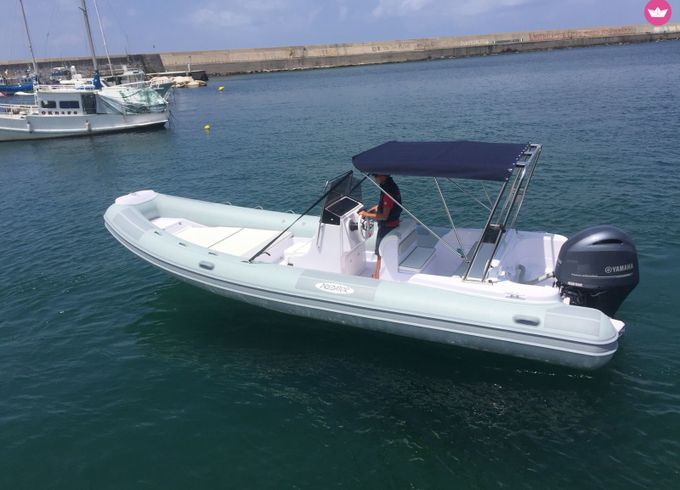 predator 730