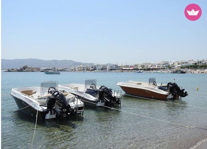 nireus 490 optima