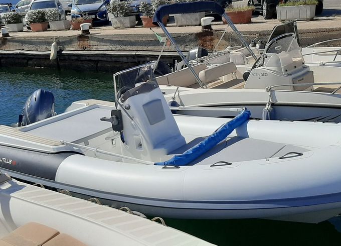 nautilus nautilus 19