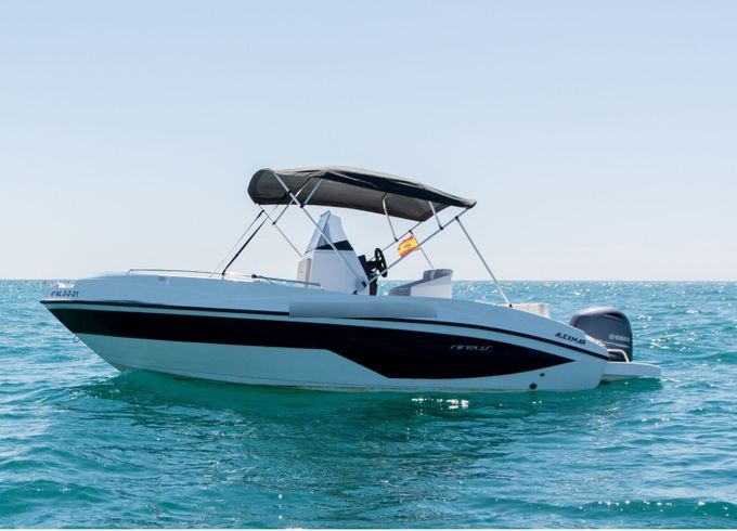 nireus cl620
