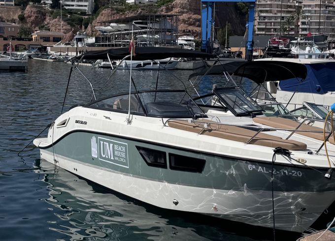 quiksilver activ 805 cruise