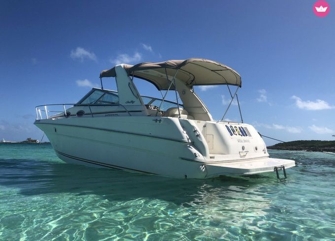 sea ray 290 sun sport