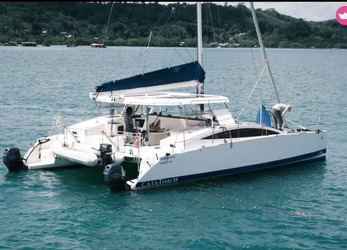 catathai 34 open