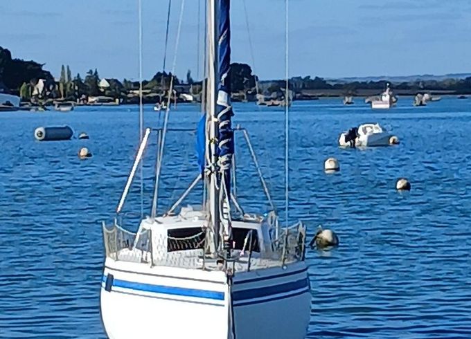 wrighton bi-loup 77