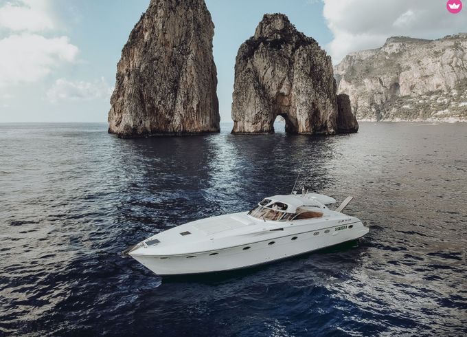 rizzardi topline 50