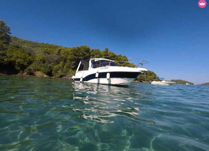 scarani group coral 30 scarani