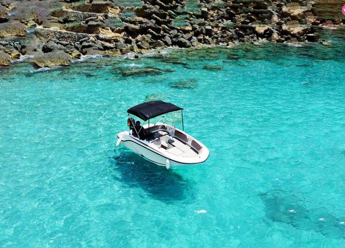 bayliner element m15
