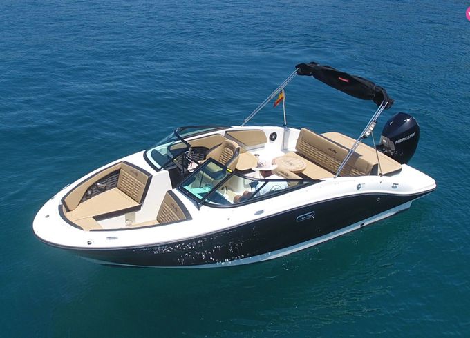 sea ray 210 spx
