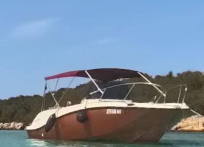 sport mare interquik 22