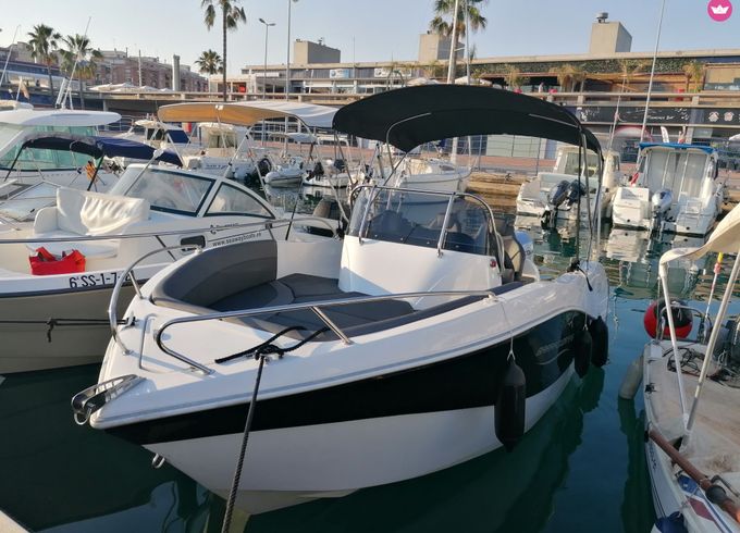 barracuda 545