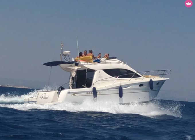 sessa marine dorado 32