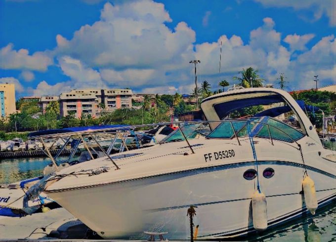 sea ray sundancer 290