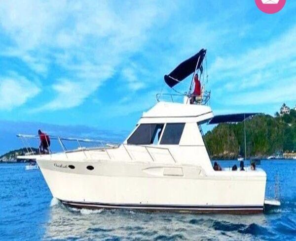 mares mares 45