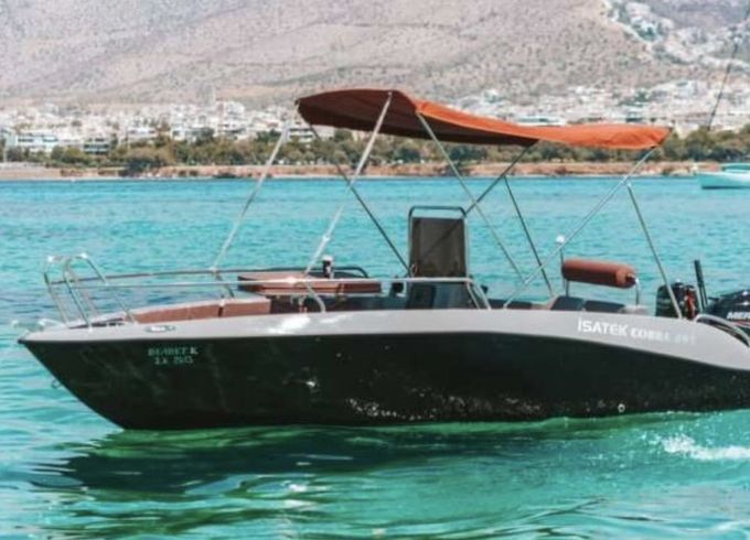 cobra 495