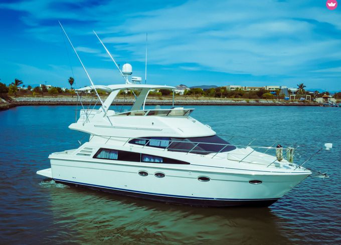 carver 42 super sport