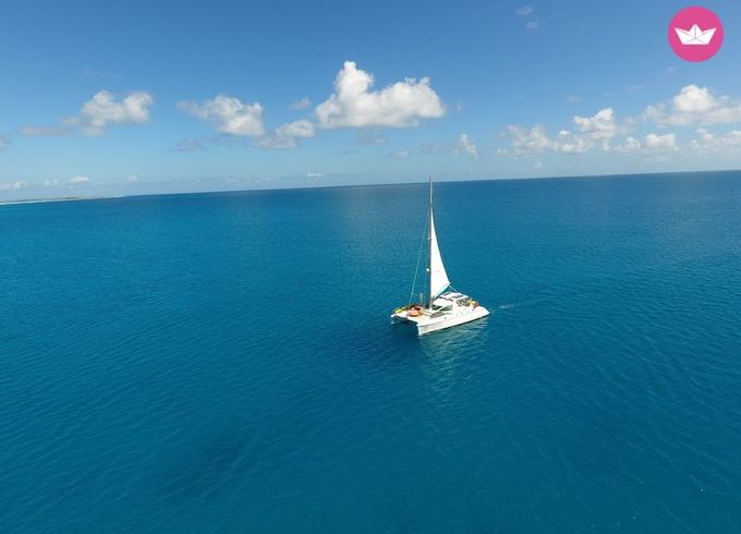 catana 44