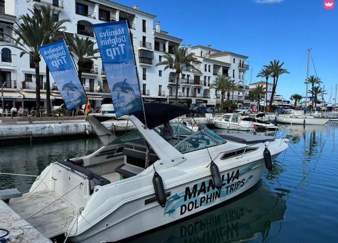 sea ray sundancer 330