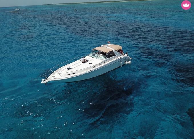 sea ray sundancer 14m