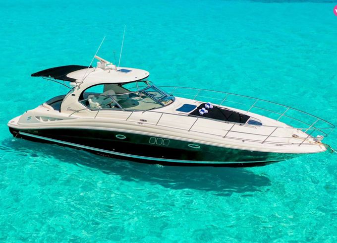 sea ray sundancer