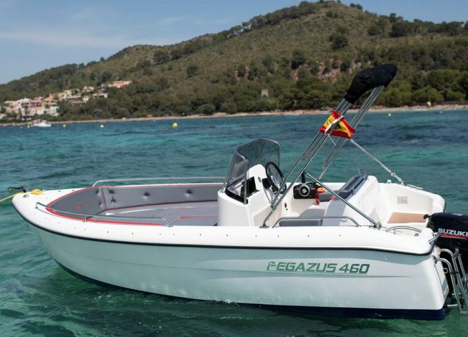 pegazus 460