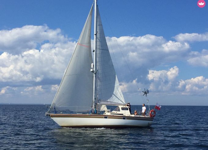 van roamdonck ann-35