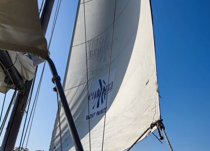 aegean 37