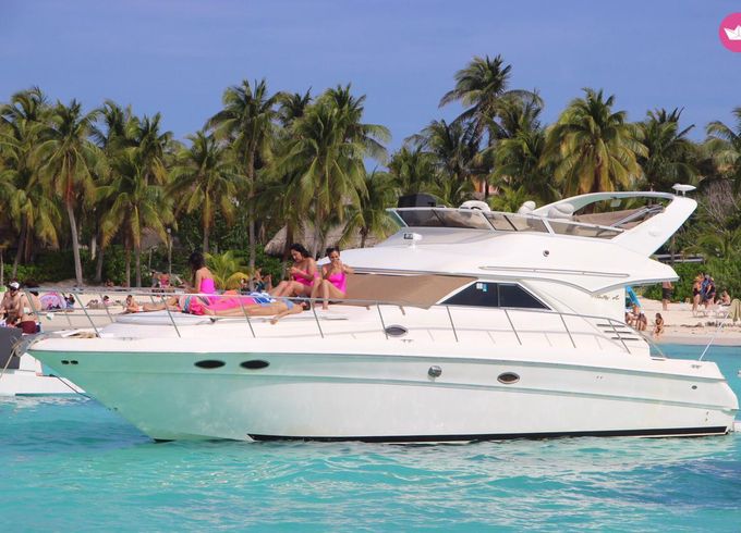 sea ray 440