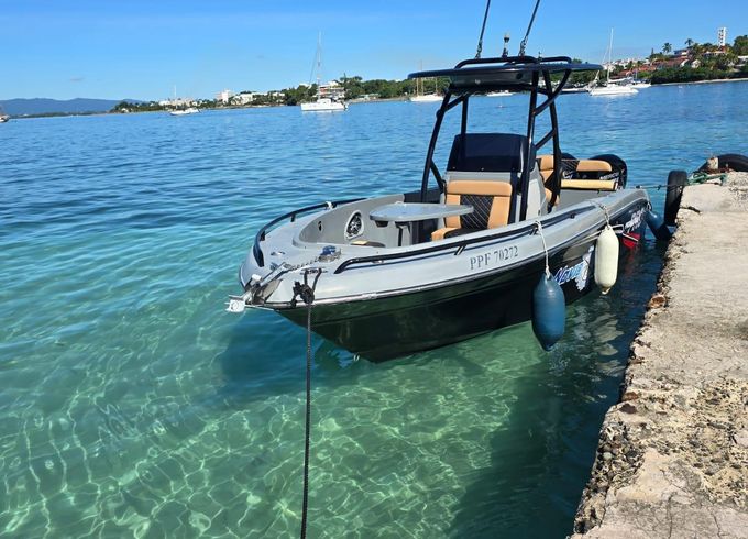 pronautica 790 slam