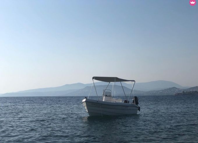 assos marine 455 n