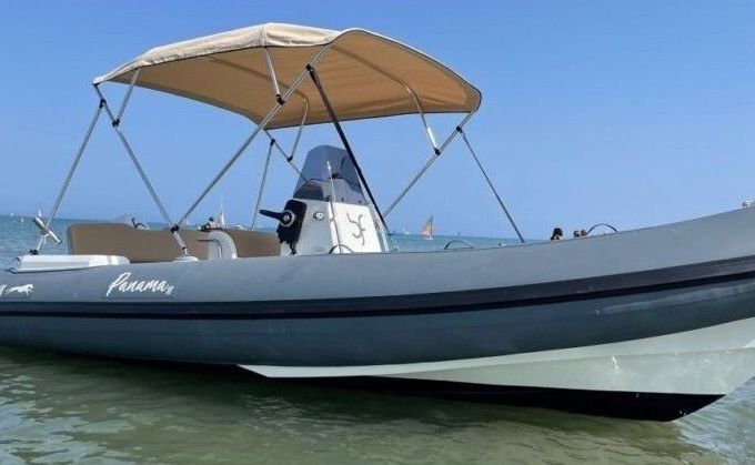 blue rib panama 19