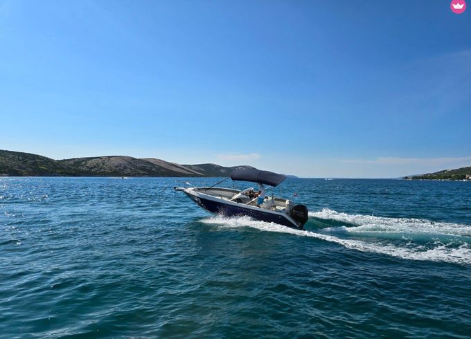 renato molinari falcon 640